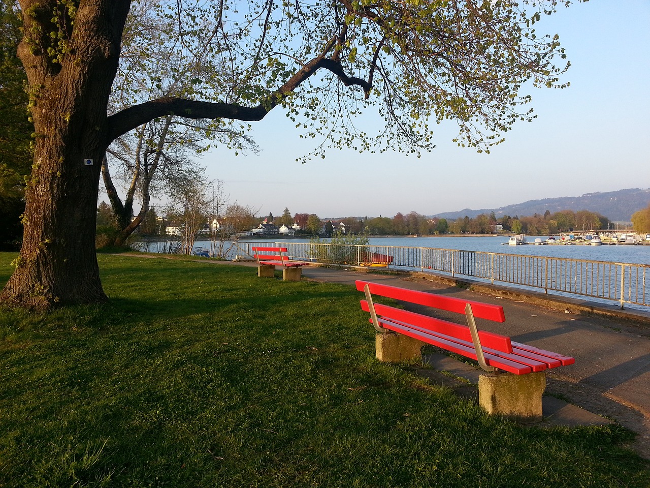 精彩的逆轉 精彩的逆轉