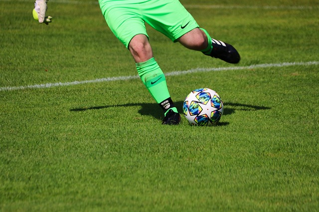 在大都会球 在大都会球