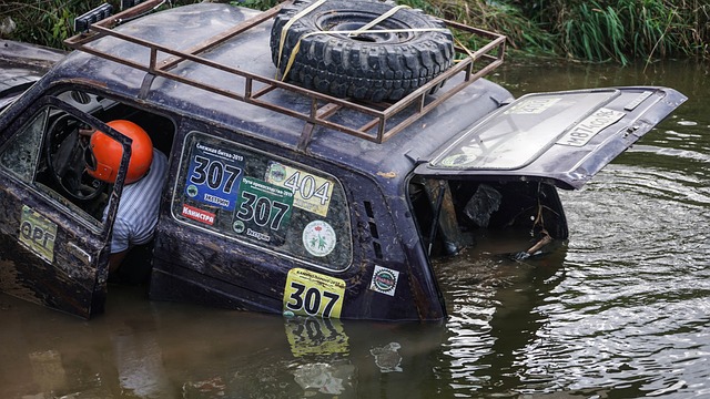 有机可乘 有机可乘