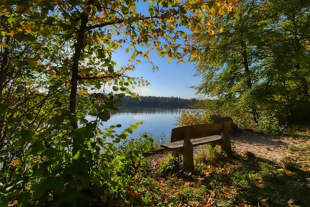 后赛中发挥 后赛中发挥