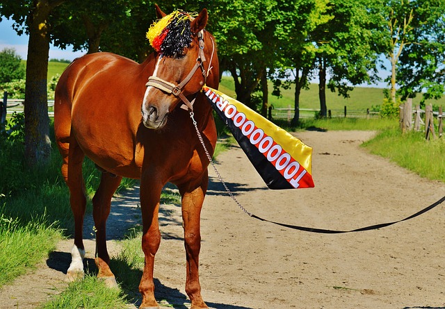 中场约书亚 中场约书亚