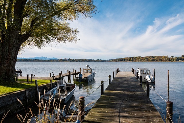 他年轻球员 他年轻球员